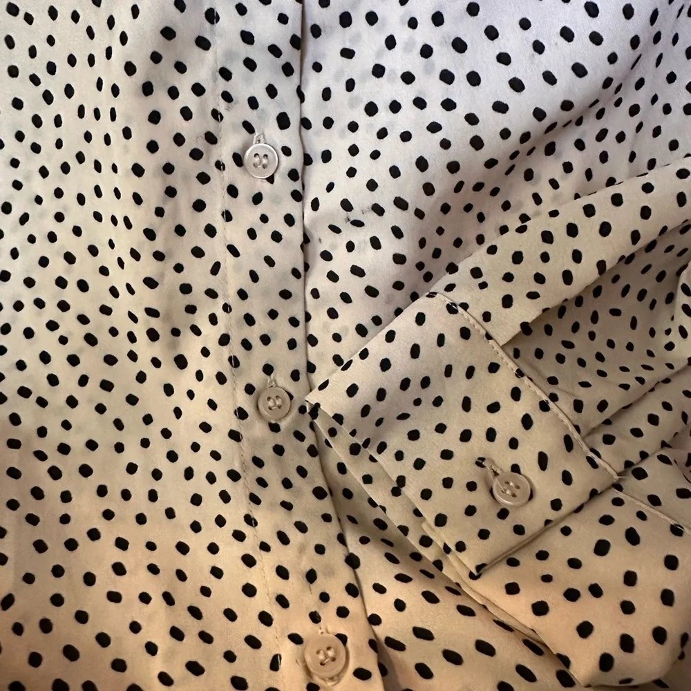 Pleione Polka Dot Printed Blouse - Picture 4 of 4